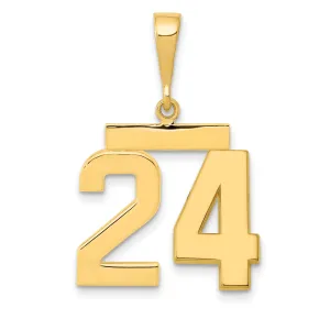 14k Yellow Gold Medium Polished Number 24 Charm