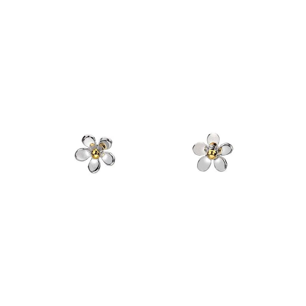 Dainty Daisy Studs